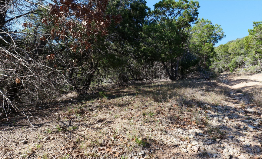 17431 Reed Park RD, Jonestown, Texas 78645, ,Land,For Sale,Reed Park,ACT8184624