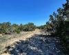 1025 Pursley RD, Dripping Springs, Texas 78620, ,Land,For Sale,Pursley,ACT2442610