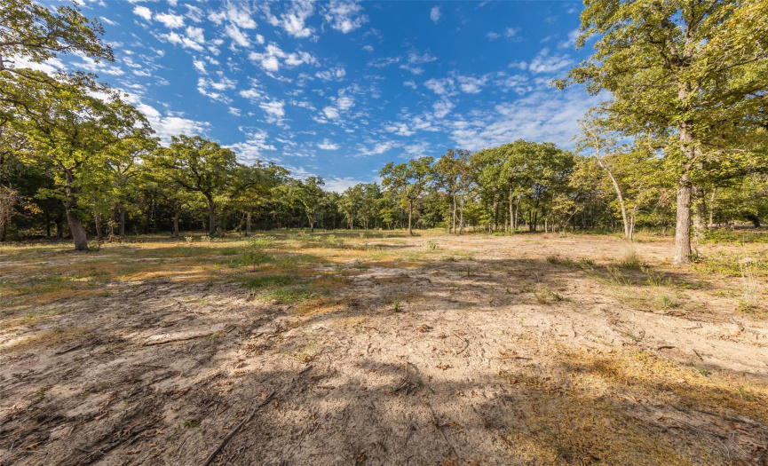 116 Pine Point CV, Elgin, Texas 78621, ,Land,For Sale,Pine Point,ACT9582938