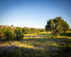 2408 Crystal Falls PKWY, Leander, Texas 78641, ,Land,For Sale,Crystal Falls,ACT7807900