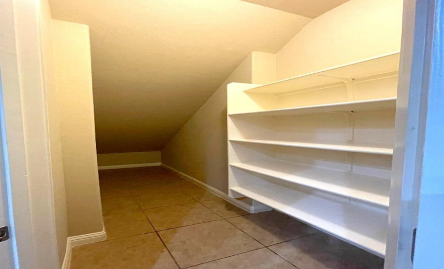 Large Pantry and Storage 
