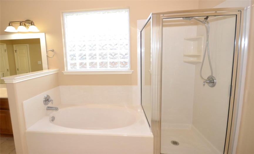 Standing Shower with Large Bathtub