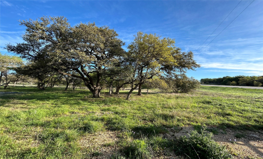 1629-1 Fm 2843, Florence, Texas 76527, ,Land,For Sale,Fm 2843,ACT7915514