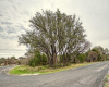 212 Kendall RD, Spicewood, Texas 78669, ,Land,For Sale,Kendall,ACT4328081