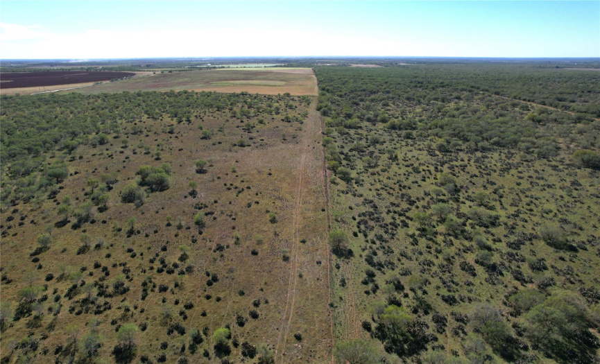1913 County Road 3000, Pearsall, Texas 78061, ,Farm,For Sale,County Road 3000,ACT5528044