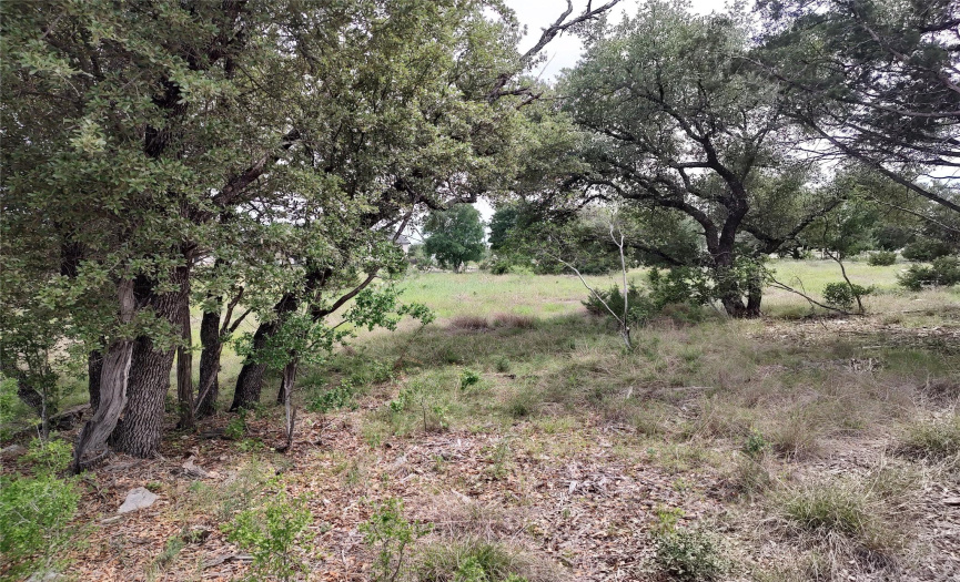 105 ROCKY SUMMIT CT, Spicewood, Texas 78669, ,Land,For Sale,ROCKY SUMMIT,ACT7349395
