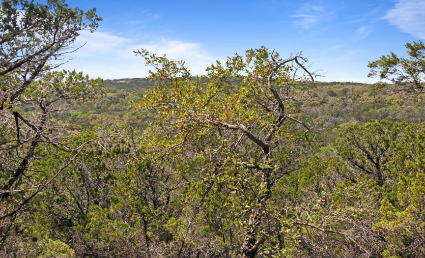 1725 Cripple Creek Stage RD, Dripping Springs, Texas 78620, ,Land,For Sale,Cripple Creek Stage,ACT7540159