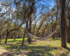 Enjoy lounging in the hammock under the canopy of trees!