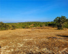 000 Sweet Blessings Way RD, Dripping Springs, Texas 78620, ,Land,For Sale,Sweet Blessings Way,ACT6339013