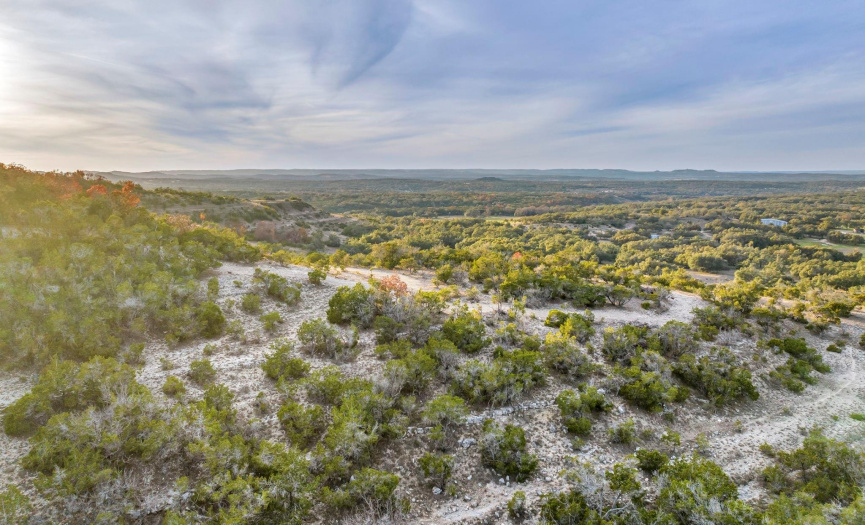 3310 Ranch Road 165, Dripping Springs, Texas 78620, ,Farm,For Sale,Ranch Road 165,ACT9898078