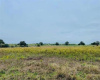 1452 Tumbleweed TRL, Dale, Texas 78616, ,Land,For Sale,Tumbleweed,ACT8769722