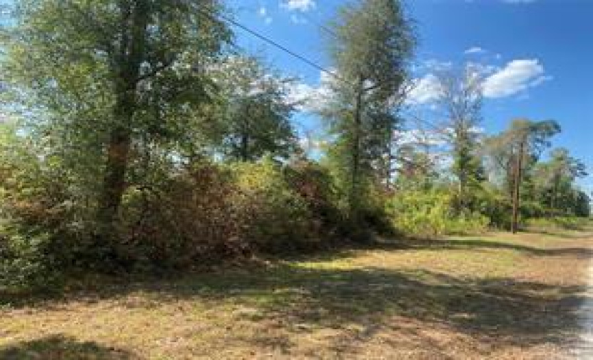 0 Outlaw Bend Road RD, Kountze, Texas 77369, ,Land,For Sale,Outlaw Bend Road,ACT5003157