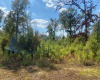 0 Outlaw Bend Road RD, Kountze, Texas 77369, ,Land,For Sale,Outlaw Bend Road,ACT5003157