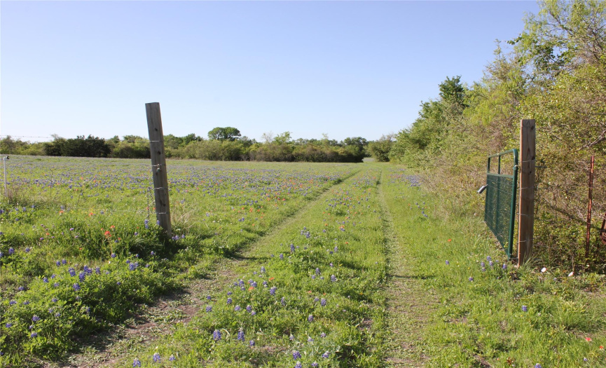 2293 County Road 105, Hutto, Texas 78634, ,Farm,For Sale,County Road 105,ACT2544589
