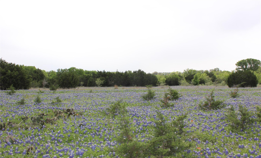 2293 County Road 105, Hutto, Texas 78634, ,Commercial Sale,For Sale,County Road 105,ACT4953374