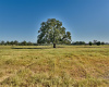 1958 County Road 106, Paige, Texas 78659, ,Farm,For Sale,County Road 106,ACT1297928