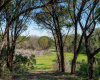 101 Blanco River Ranch, San Marcos, Texas 78666, ,Farm,For Sale,Blanco River Ranch,ACT4975570