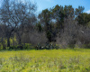 101 Blanco River Ranch, San Marcos, Texas 78666, ,Farm,For Sale,Blanco River Ranch,ACT4975570