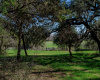 101 Blanco River Ranch, San Marcos, Texas 78666, ,Land,For Sale,Blanco River Ranch,ACT9429005