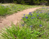 Miles of trails!! Enjoy the beautiful wildflowers in the spring!!