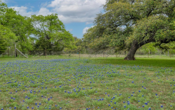 Gorgeous oaks...approximately 4 acres crossfenced which includes the improvements...back acre left more wooded for additional privacy