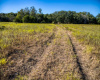 Tbd County Road 2200 W/S RD, Lometa, Texas 76853, ,Farm,For Sale,County Road 2200 W/S,ACT6193669