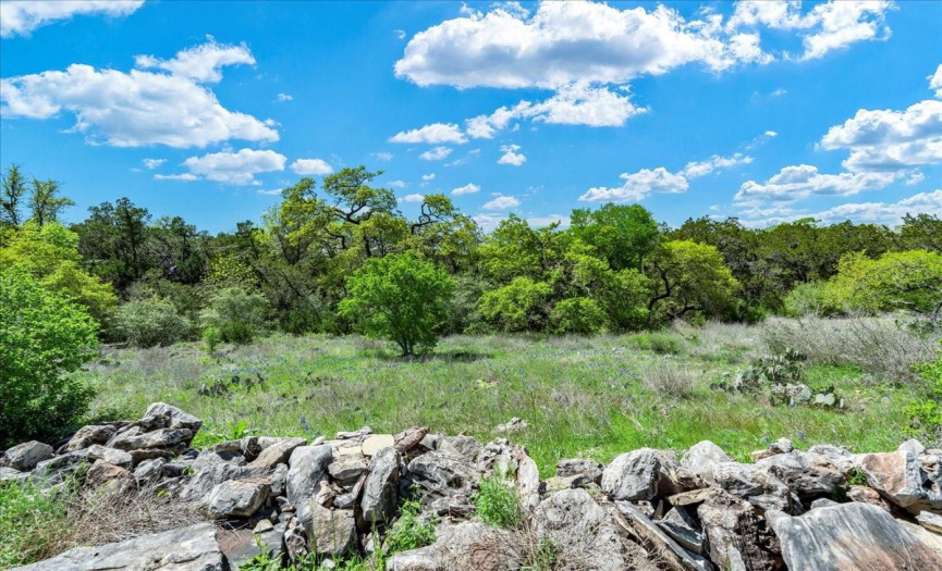 Immerse yourself in the natural beauty of the hill country landscape, with sweeping views, abundant wildlife, and lush greenery at every turn, inviting you to connect with the great outdoors and create unforgettable memories.