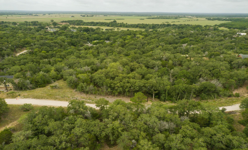 TBD Wailupe CT, Bastrop, Texas 78602, ,Land,For Sale,Wailupe,ACT4141964