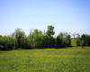 Tract 5 Caney Creek RD, Chappell Hill, Texas 77426, ,Land,For Sale,Caney Creek,ACT4942986