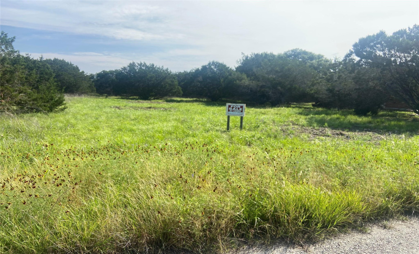 55 Wide Canyon DR, Wimberley, Texas 78676, ,Land,For Sale,Wide Canyon,ACT4770300