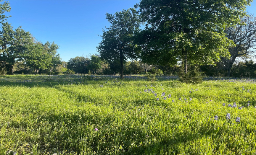 Tract 1 Fm-580, Kempner, Texas 76539, ,Land,For Sale,Fm-580,ACT5814088