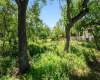 10101 Murmuring Creek DR, Austin, Texas 78736, ,Land,For Sale,Murmuring Creek,ACT6671066