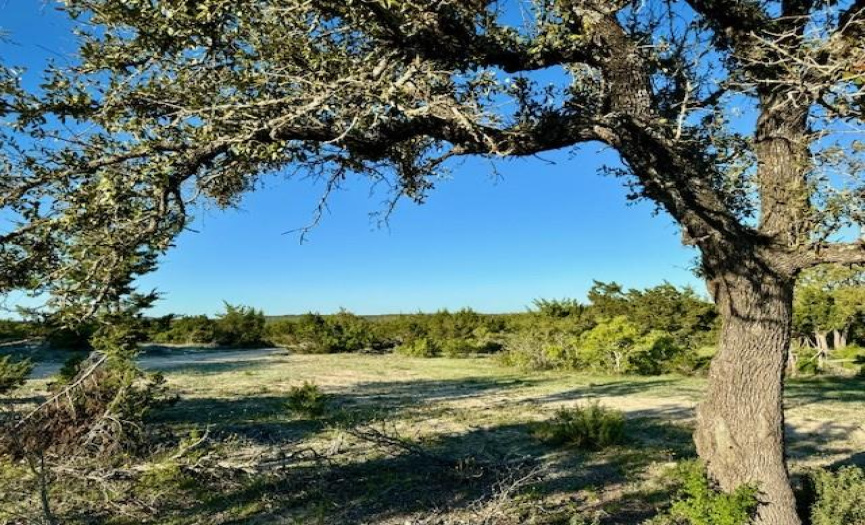178 Sweet Blessings WAY, Dripping Springs, Texas 78620, ,Land,For Sale,Sweet Blessings,ACT3212301