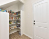 Pantry area with plenty of sheve space 