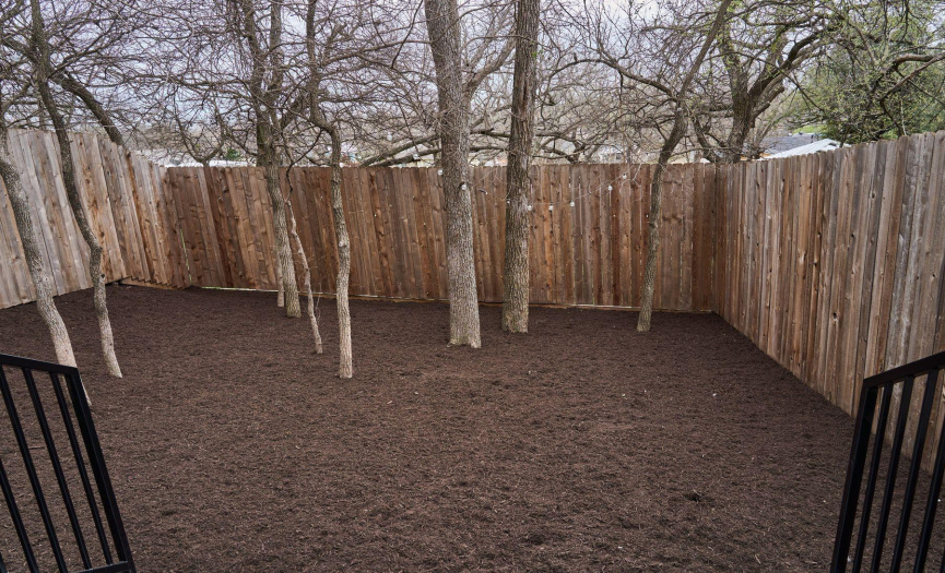 Backyard - Small Trees for Perfect Shade