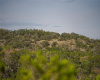 TBD Bell Springs RD, Dripping Springs, Texas 78620, ,Land,For Sale,Bell Springs,ACT7320737