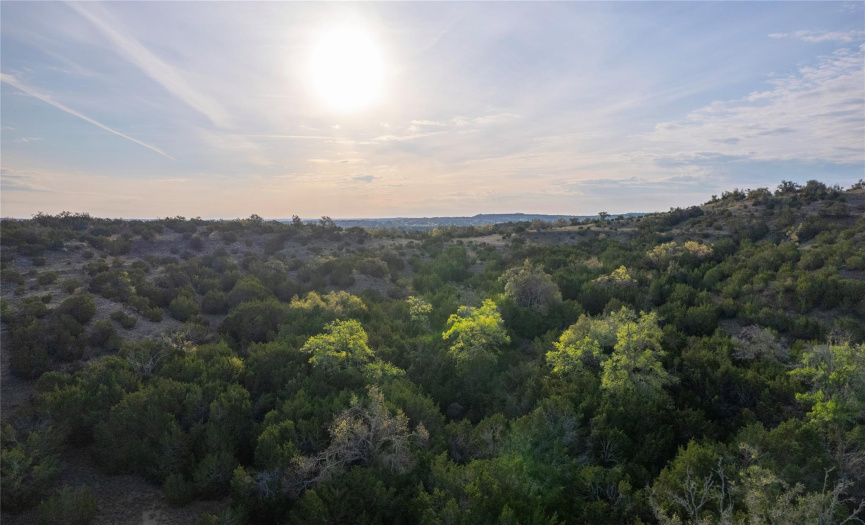 TBD Bell Springs RD, Dripping Springs, Texas 78620, ,Farm,For Sale,Bell Springs,ACT1480306