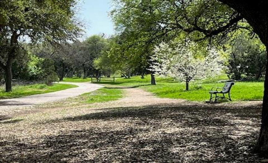 Pease Park, a short walk from property, is an 84-acre green space with limestone bluffs, shaded trails and a rich cultural history.