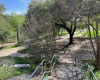 Pease Park Conservancy is the City’s primary partner for the stewardship of Pease Park. The Conservancy is privately funded by individuals, companies, and foundations that value this healthy, sustainable, and welcoming green space for all of Austin.