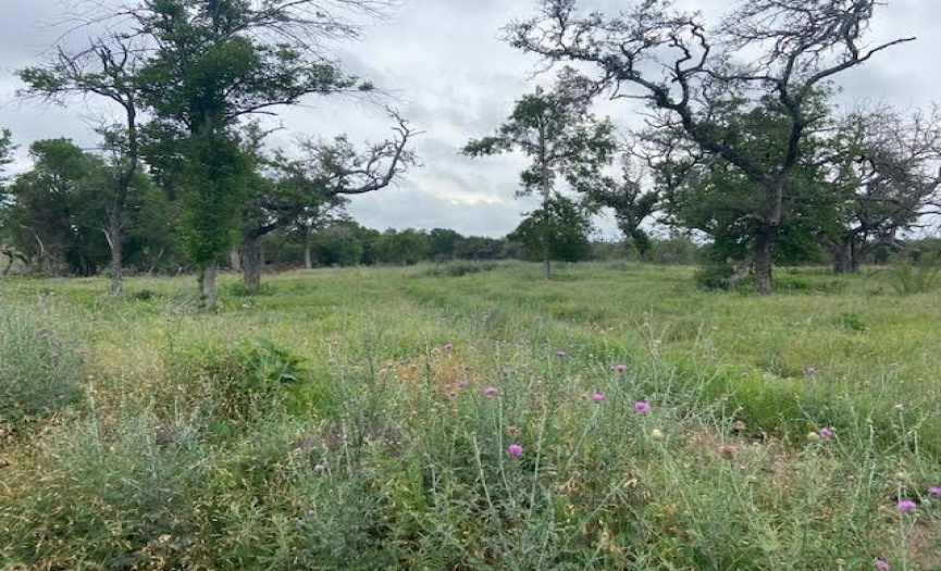 2552 McGregor LN, Dripping Springs, Texas 78620, ,Land,For Sale,McGregor,ACT5935152