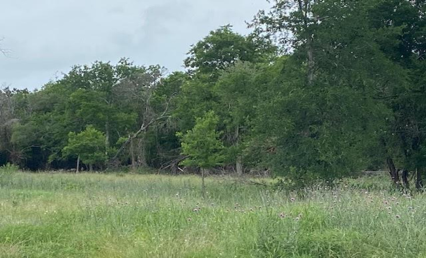2552 McGregor LN, Dripping Springs, Texas 78620, ,Land,For Sale,McGregor,ACT5935152