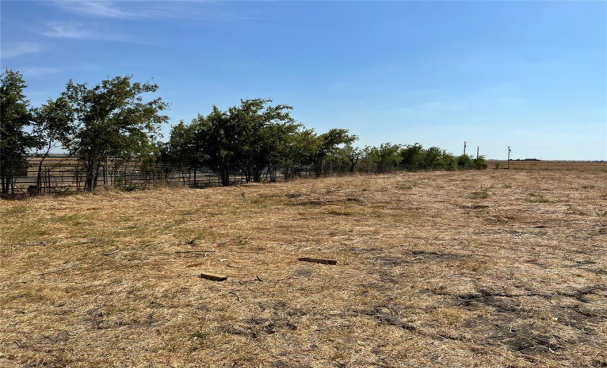 7250 FM 112, Thrall, Texas 76578, ,Land,For Sale,FM 112,ACT1044274
