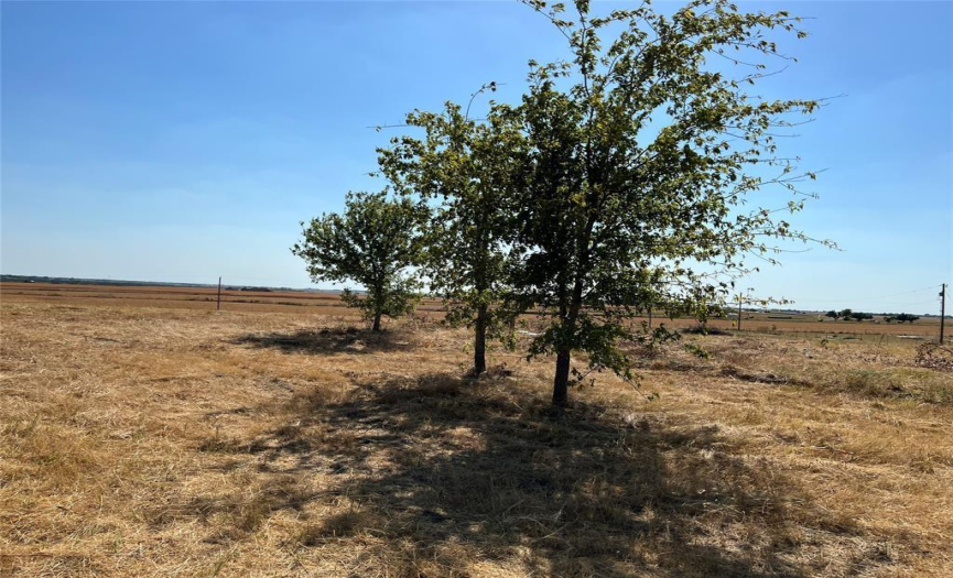 7250 FM 112, Thrall, Texas 76578, ,Land,For Sale,FM 112,ACT1044274