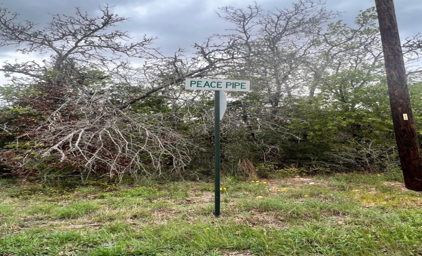 TBD Peace Pipe, Smithville, Texas 78957, ,Land,For Sale,Peace Pipe,ACT4519870