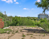 1506 West 32nd ST, Austin, Texas 78703, ,Land,For Sale,West 32nd,ACT1311954