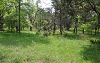 1508 Creekview DR, Salado, Texas 76571, ,Land,For Sale,Creekview,ACT7219512