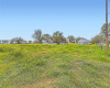 TBD Nw River RD, Martindale, Texas 78655, ,Land,For Sale,Nw River,ACT2692183