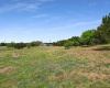 Seasonal wildflowers including bluebonnets!!  This property has so many beautiful spots.
