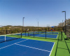 The Hollows Amenities - Pickleball Courts