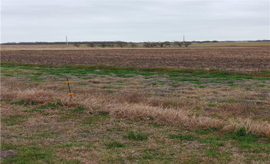 TBD County Road 440, Thorndale, Texas 76577, ,Farm,For Sale,County Road 440,ACT2753714